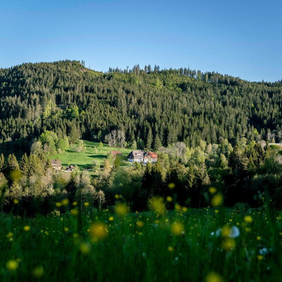 הינטרצארטן Waldhotel Fehrenbach מראה חיצוני תמונה